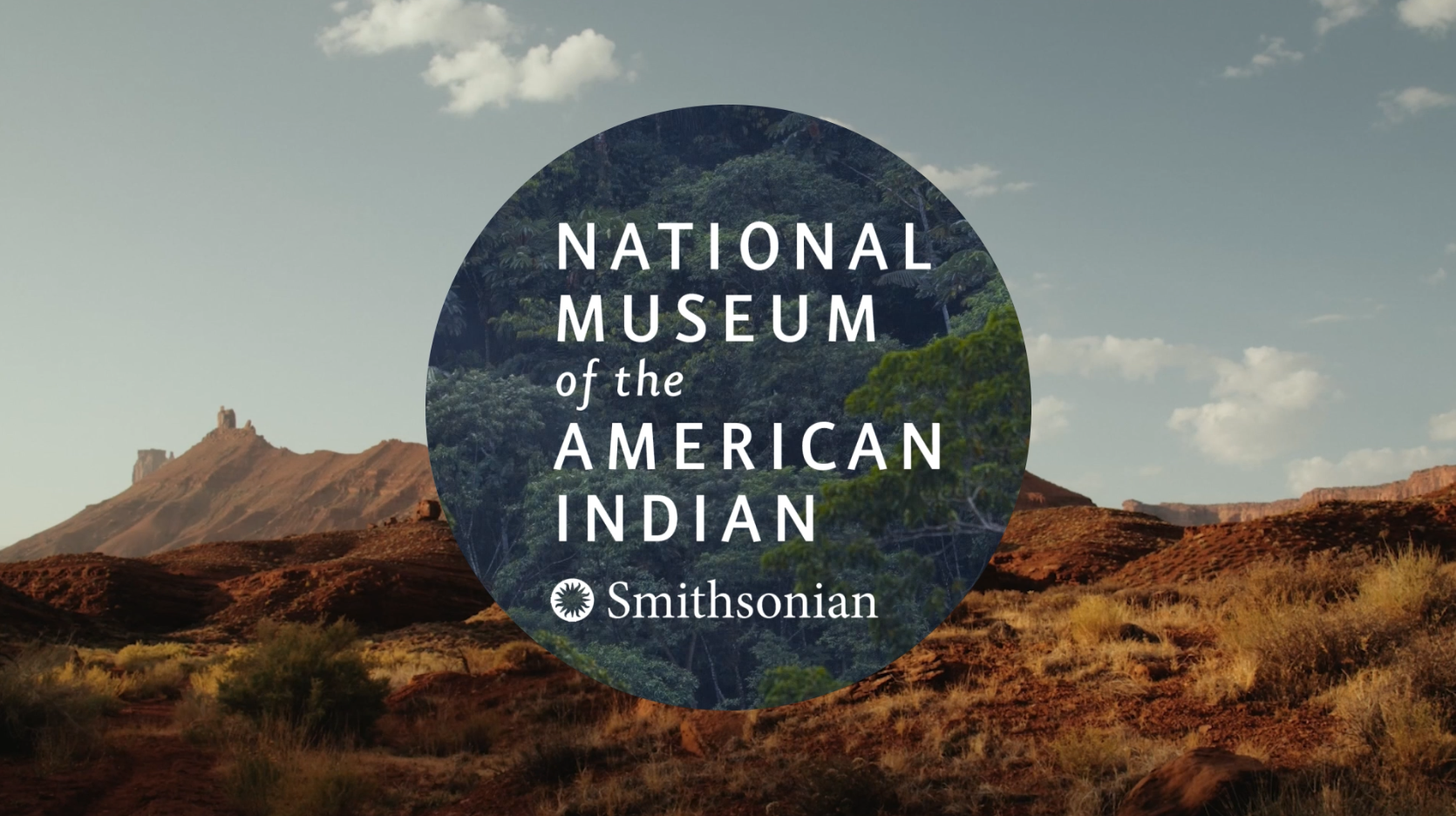 Screen Shot 2022-08-11 at 12.43.45 PM